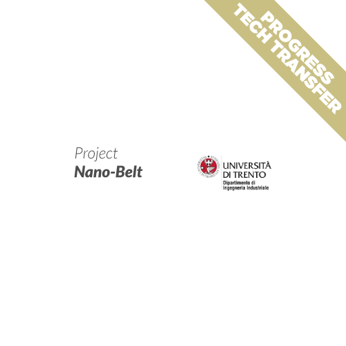 Nano-Belt Project